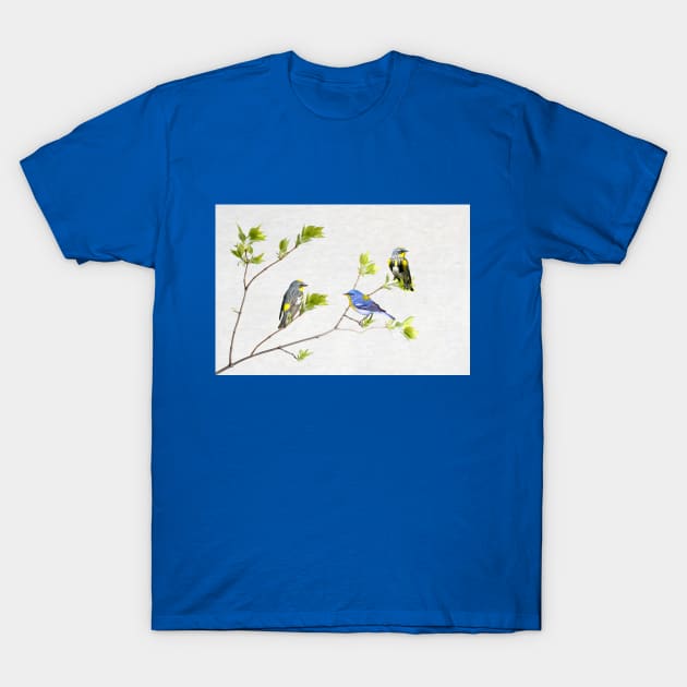 Spring Warbler Birds T-Shirt by lauradyoung